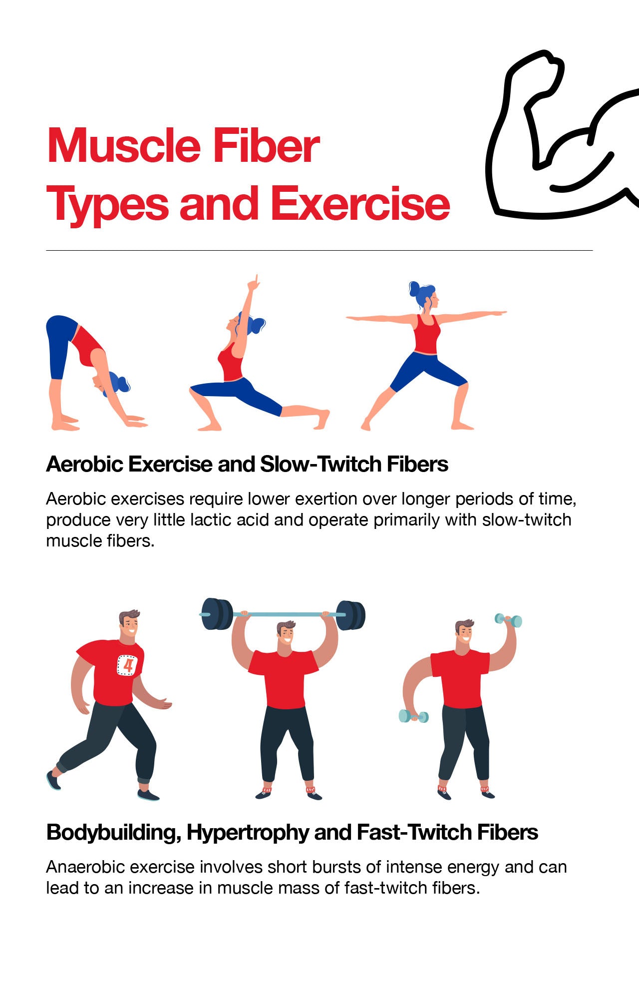 Muscle Fiber Types Chart