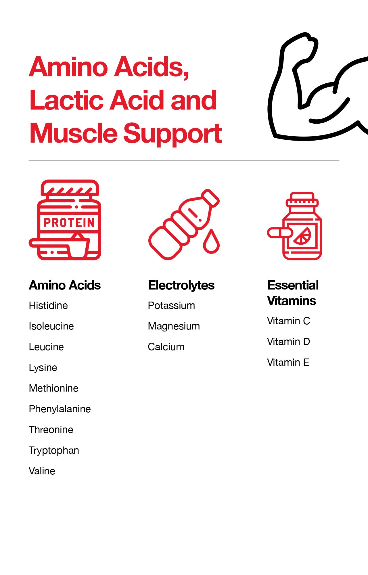 Amino Acids, Lactic Acid and Muscle Support