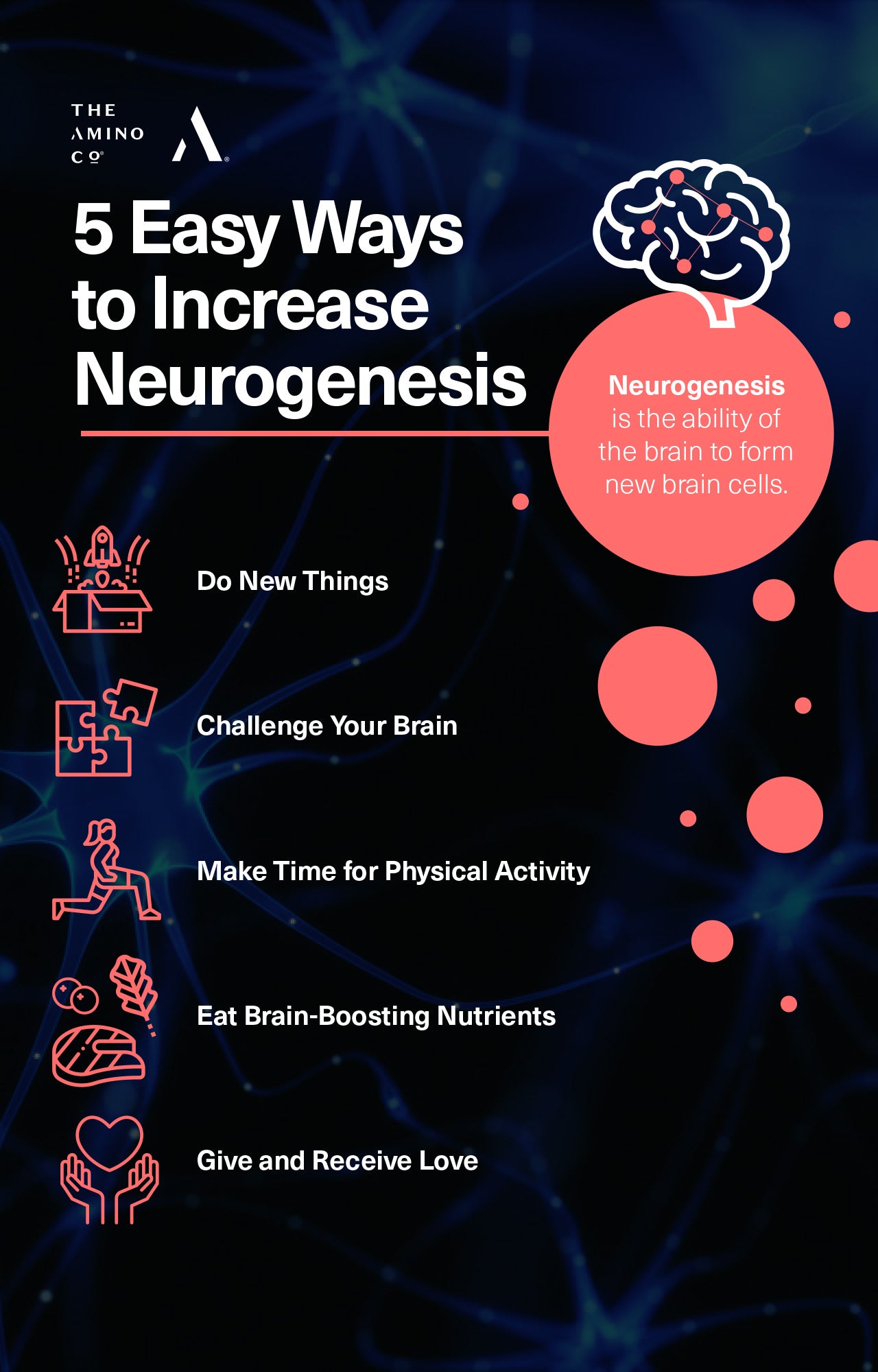 5 Easy Ways to Increase Neurogenesis