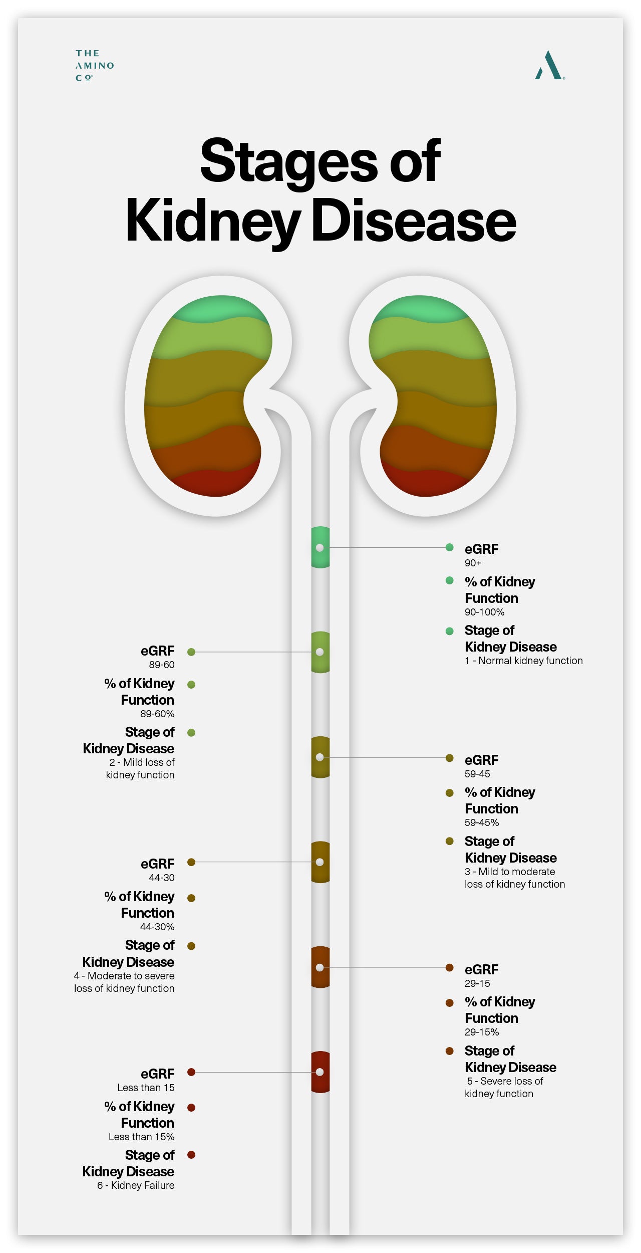 Stages of Kidney Disease