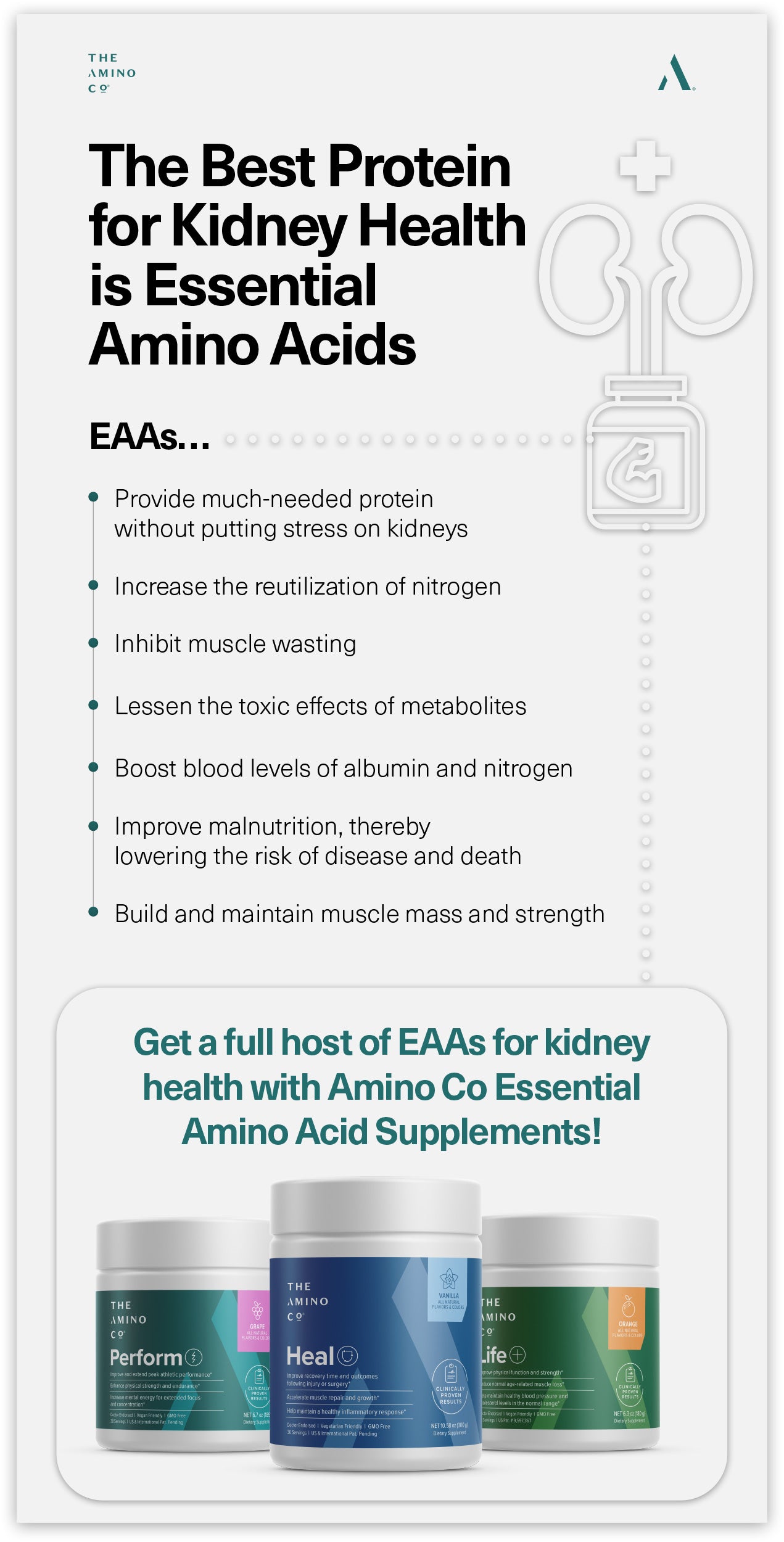 What protein is best for kidneys?