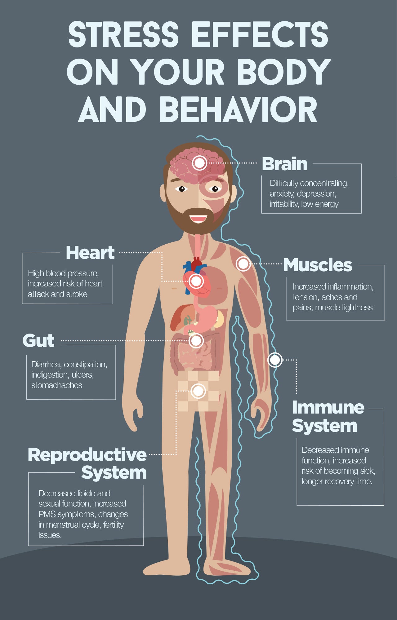 Stress effects on your body and behavior