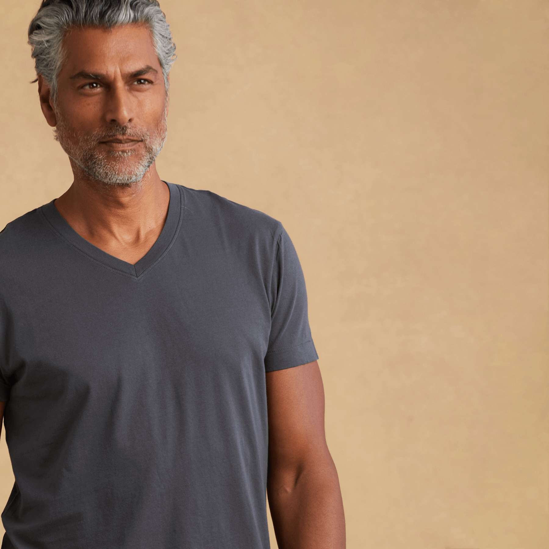 Mens short sleeve V-neck Classic T-Shirt – The Classic T-Shirt Company