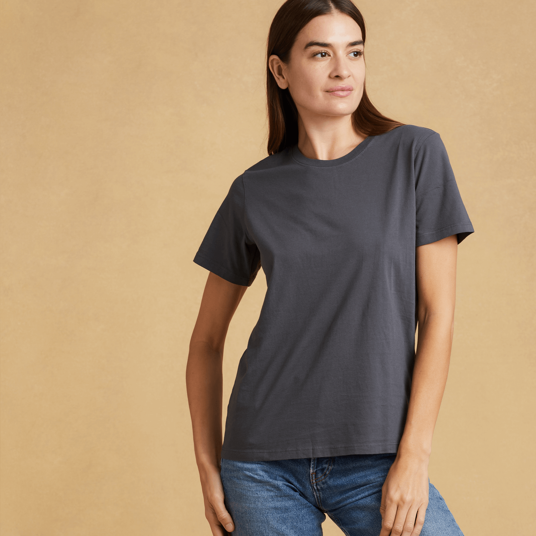 Womens short sleeve crew neck Classic T-Shirt – The Classic T-Shirt Company