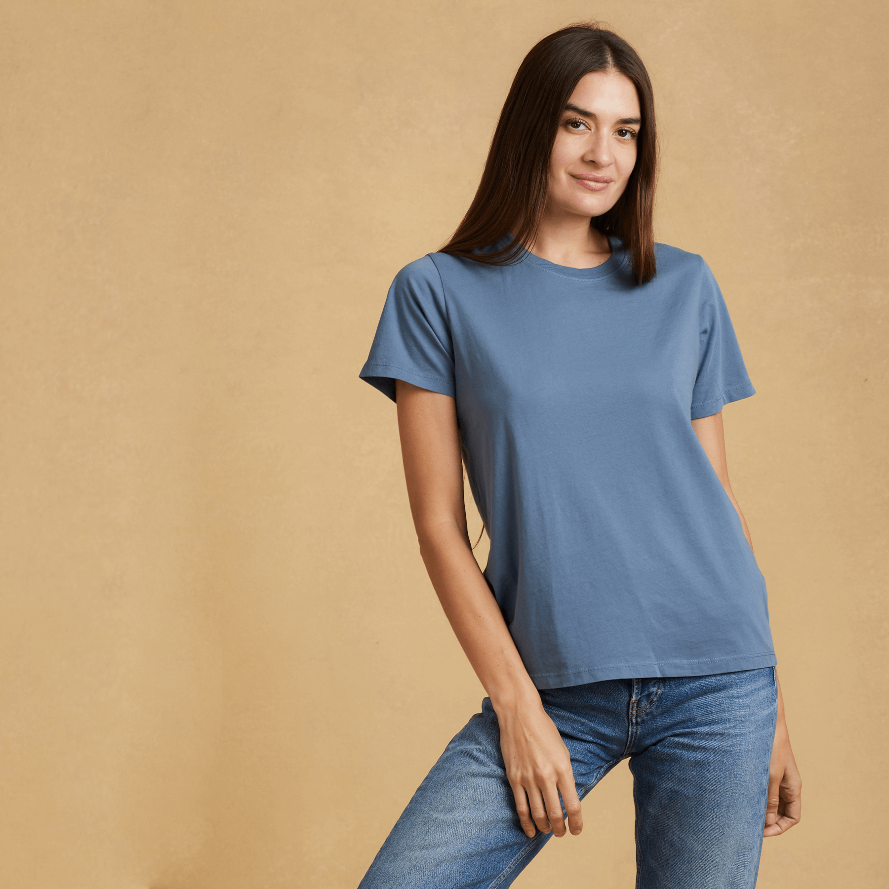 Womens short sleeve crew neck Classic T-Shirt – The Classic T-Shirt Company