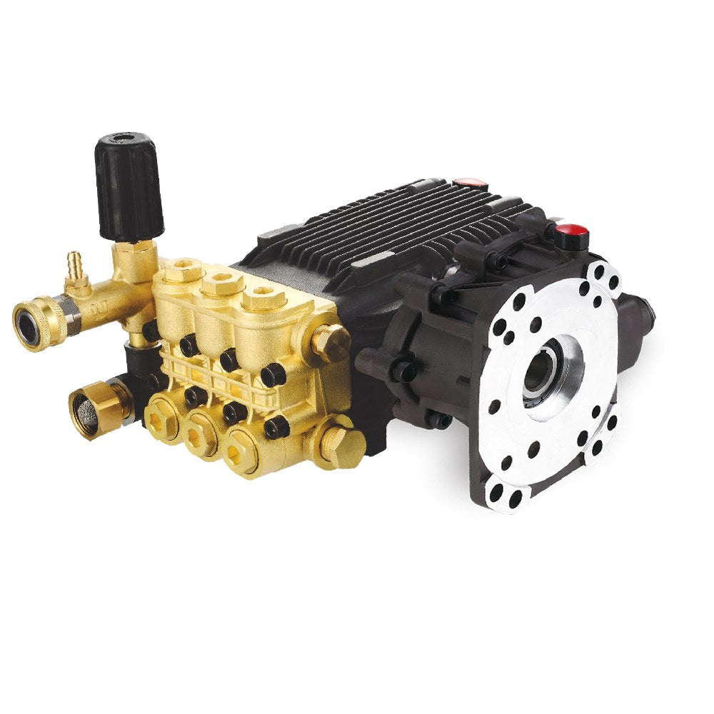 Raptor RGPWDBD-1814GA 3600PSI 13HP 17LPM High Pressure Triplex Gear Reduction Pump