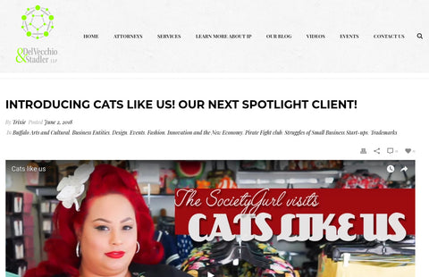 INTRODUCING CATS LIKE US! OUR NEXT SPOTLIGHT CLIENT!