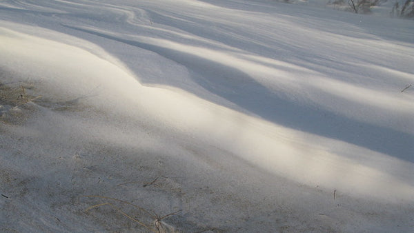 snow-wave-a-wave-made-from-snow-and-wind