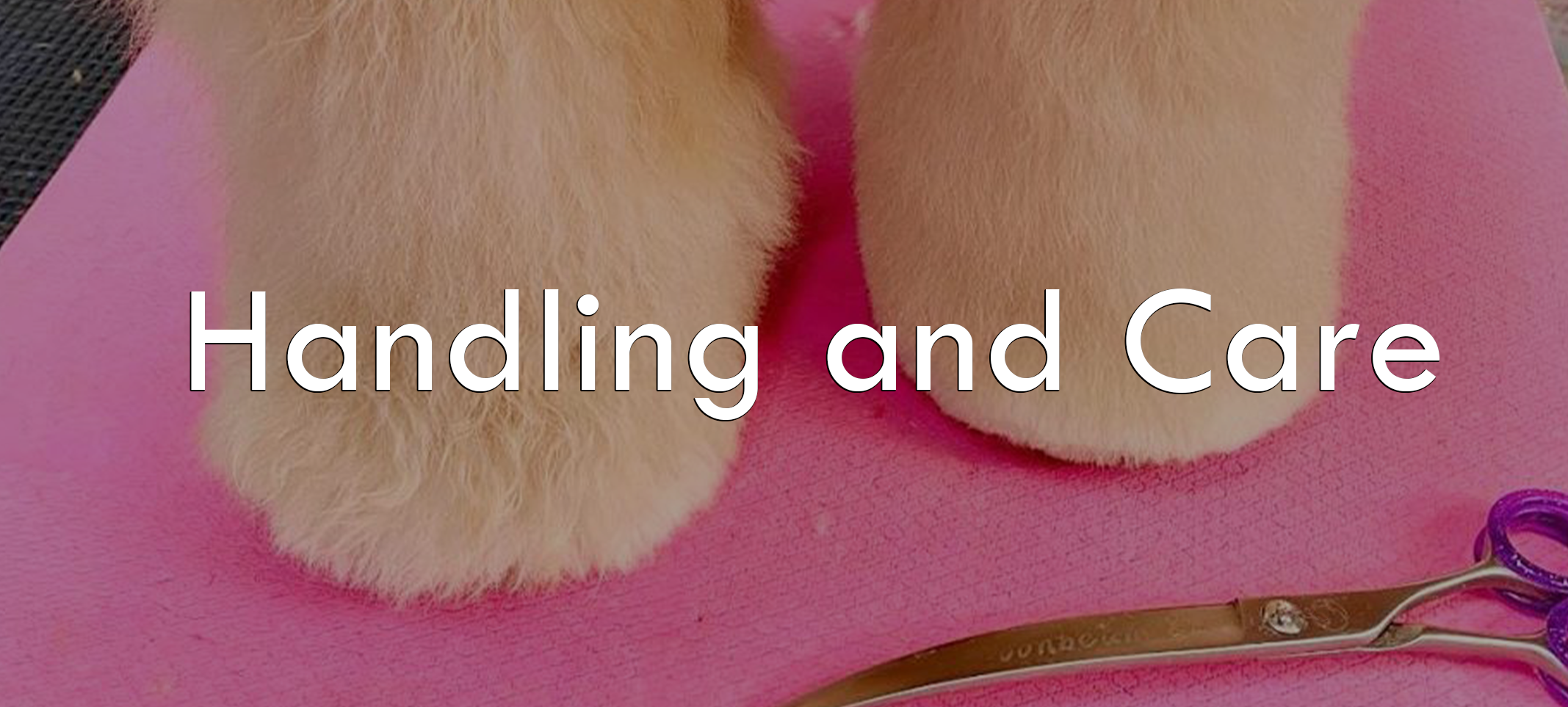 Handling and Caring for Your PawMat