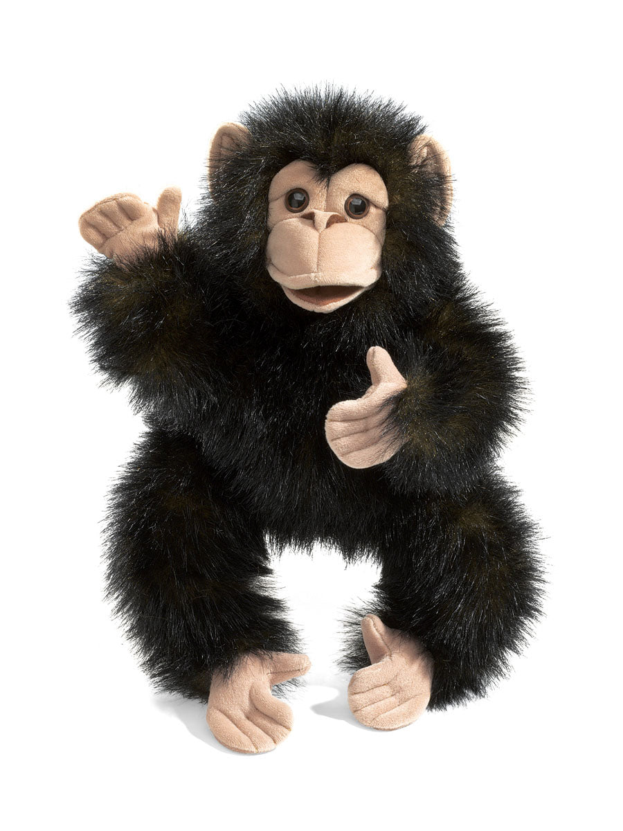 chimpanzee hand top