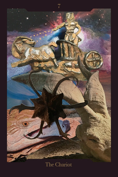 Oracle card  - The Chariot