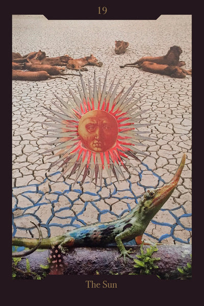 Oracle card  - The Sun