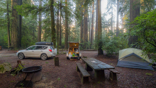 Yosemite Pines RV Resort