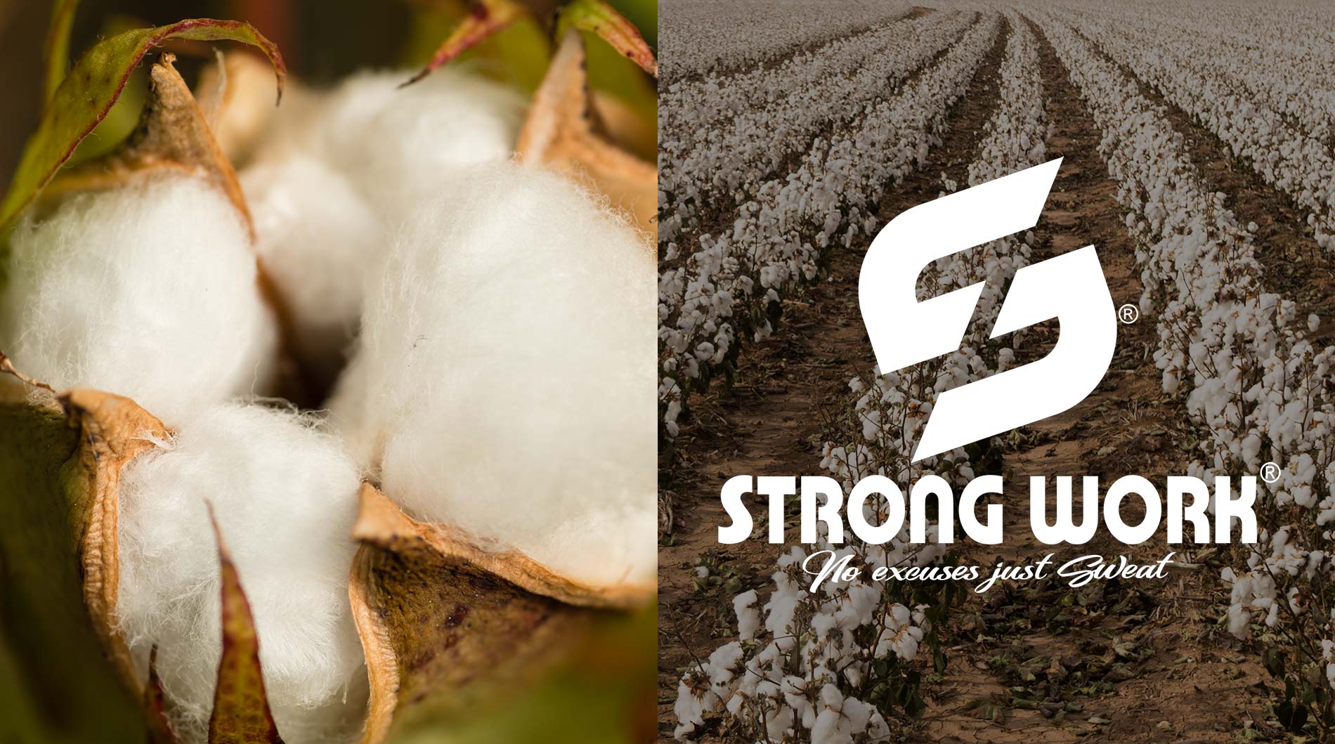 STRONG WORK SPORTSWEAR EN COTON BIO