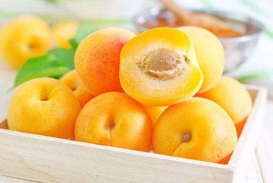 Can my cat eat apricot?