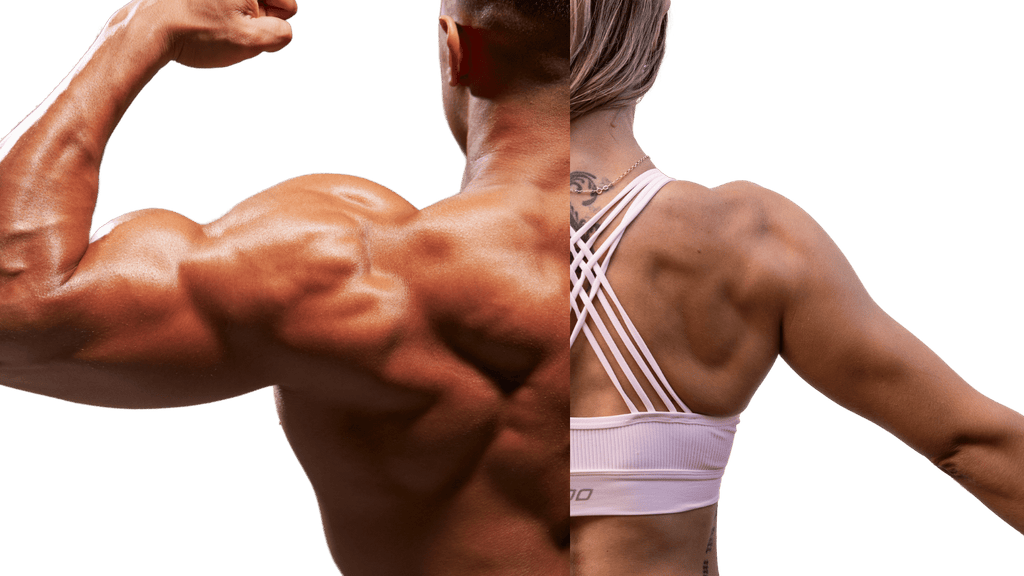 Oomph Fitness App: Toned & Jacked Arms: The Hidden Exercises to Your Dream Arms That Few Know About (Part 1)