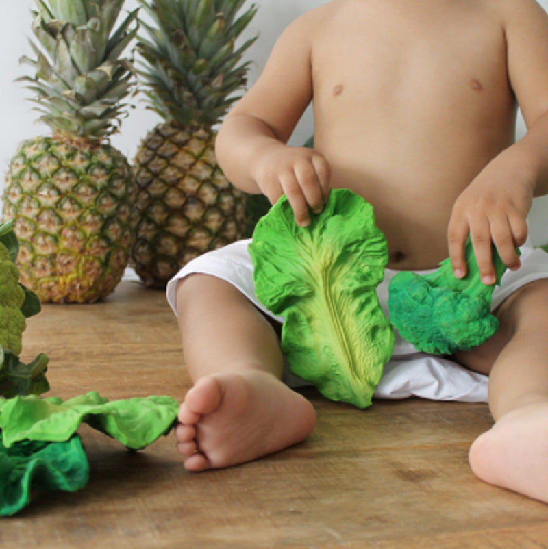 kale teething toy