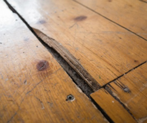 Wood floor repair | Wood floor restoration | Ultimate Floor Care |