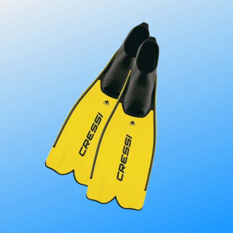 Snorkelling Fins