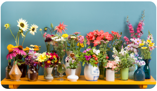 Viva Flora Flower Shop | Flower shop Delivery