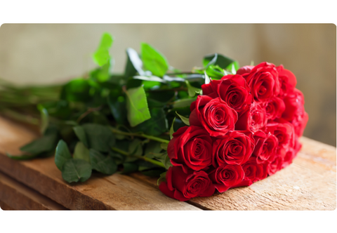 Red Roses from Viva Flora