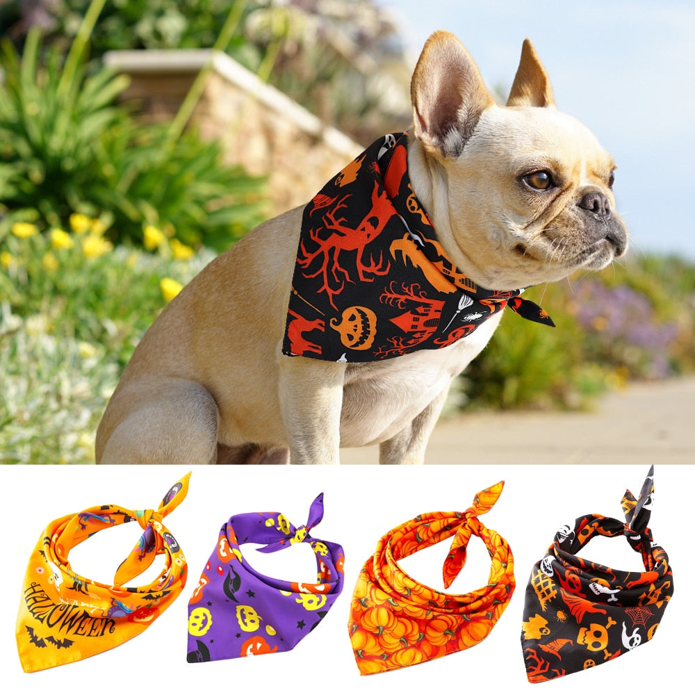 halloween bandana dog