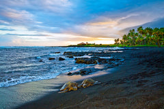 Punalu‘u Black Sand Beach