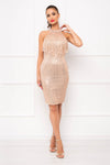 Rochie scurta MINODORA cu paiete - Nude Rochie