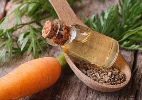 carrot seed oil