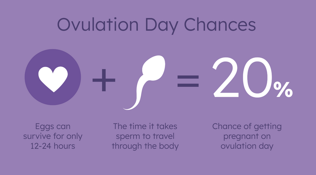 Chances of Getting Pregnant on Ovulation Day - Chances of Conceiving Within  3 Days Before Ovulation – Proov