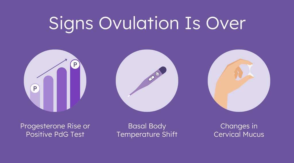 12 Signs of Ovulation To Detect Your Most Fertile Time