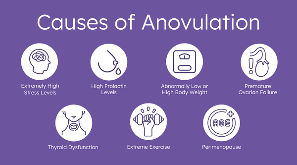 What are the symptoms of no ovulation? - How To Test For No Ovulation –  Proov