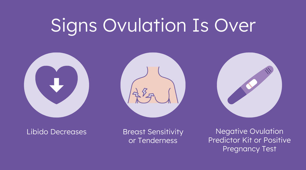 How To Know If You Are Ovulating Late? A Simple Guide For Women - Inito