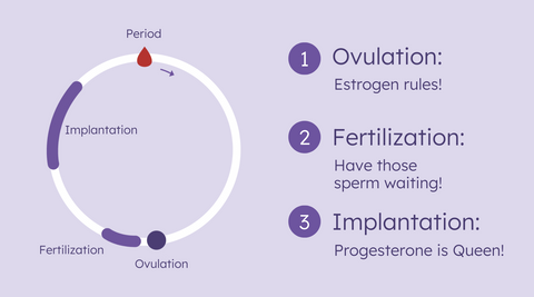 implantation diagram