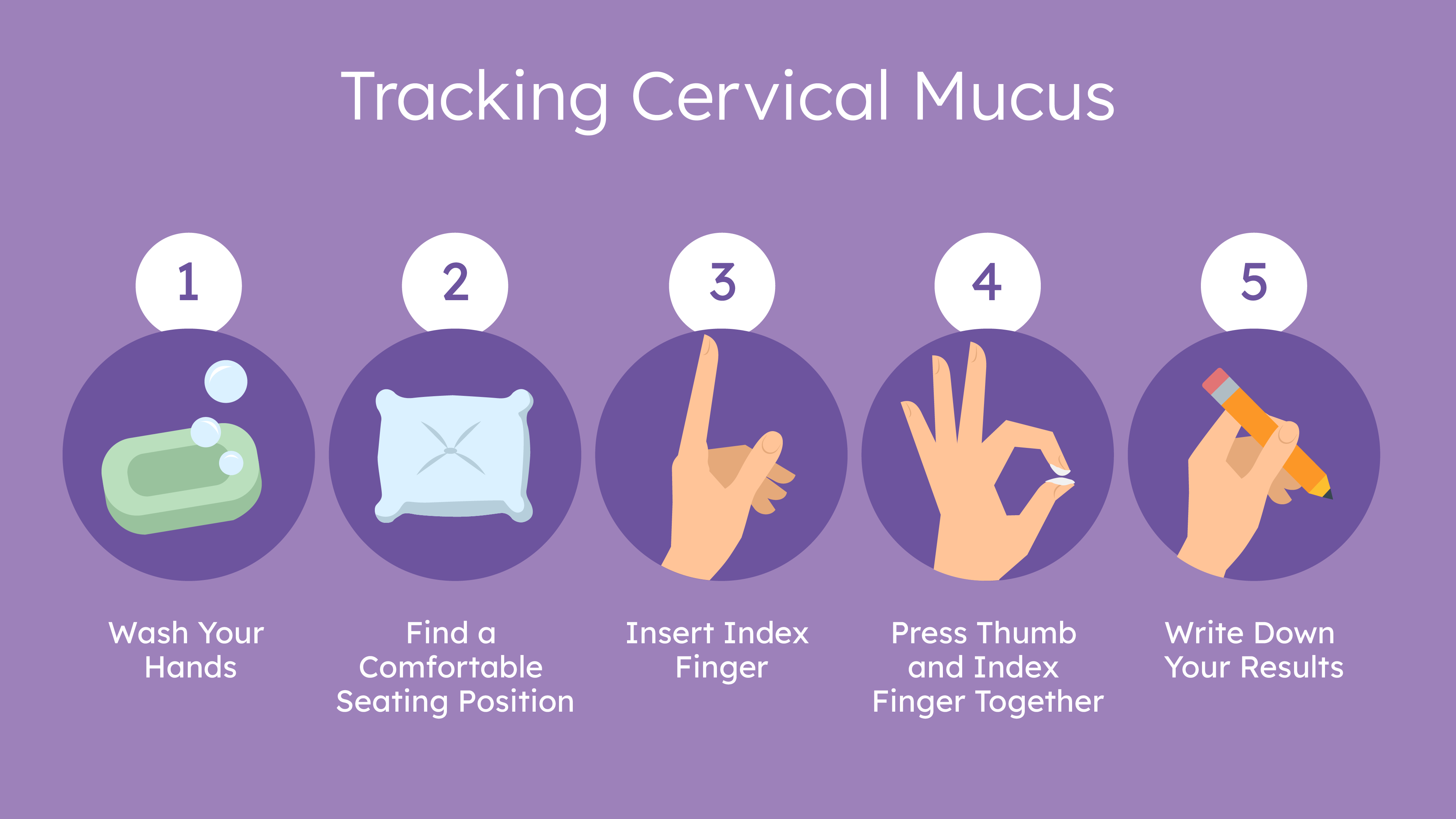 Cervical fluid changes throughout the menstrual cycle