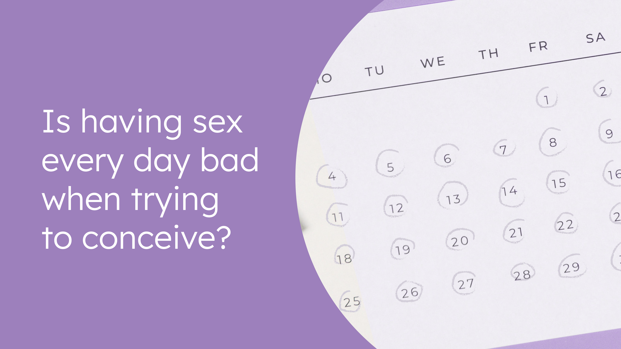 Is having sex every day bad when trying to conceive? - Sex