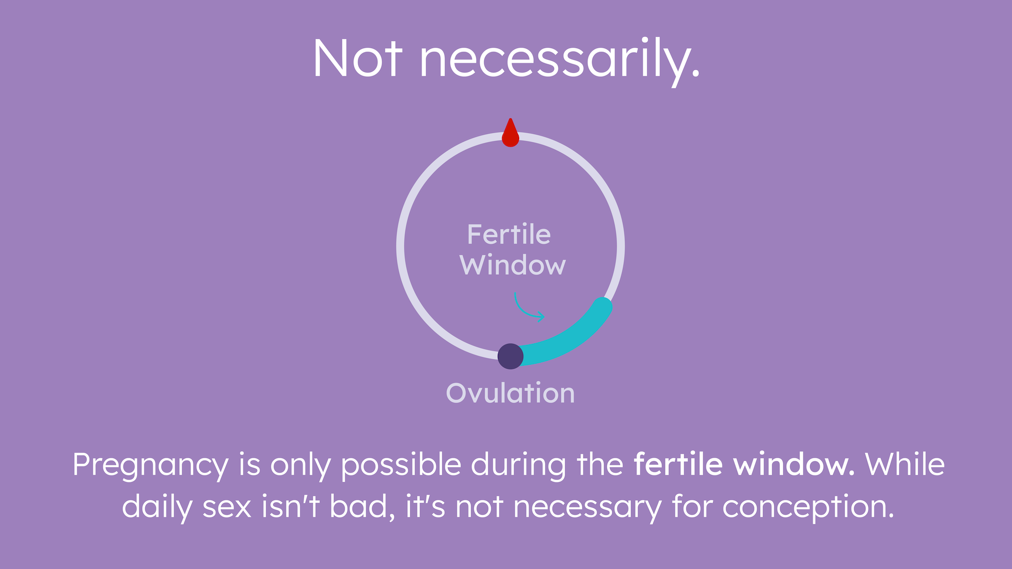 Is having sex every day bad when trying to conceive? - Sex Frequency During Fertile  Window – Proov