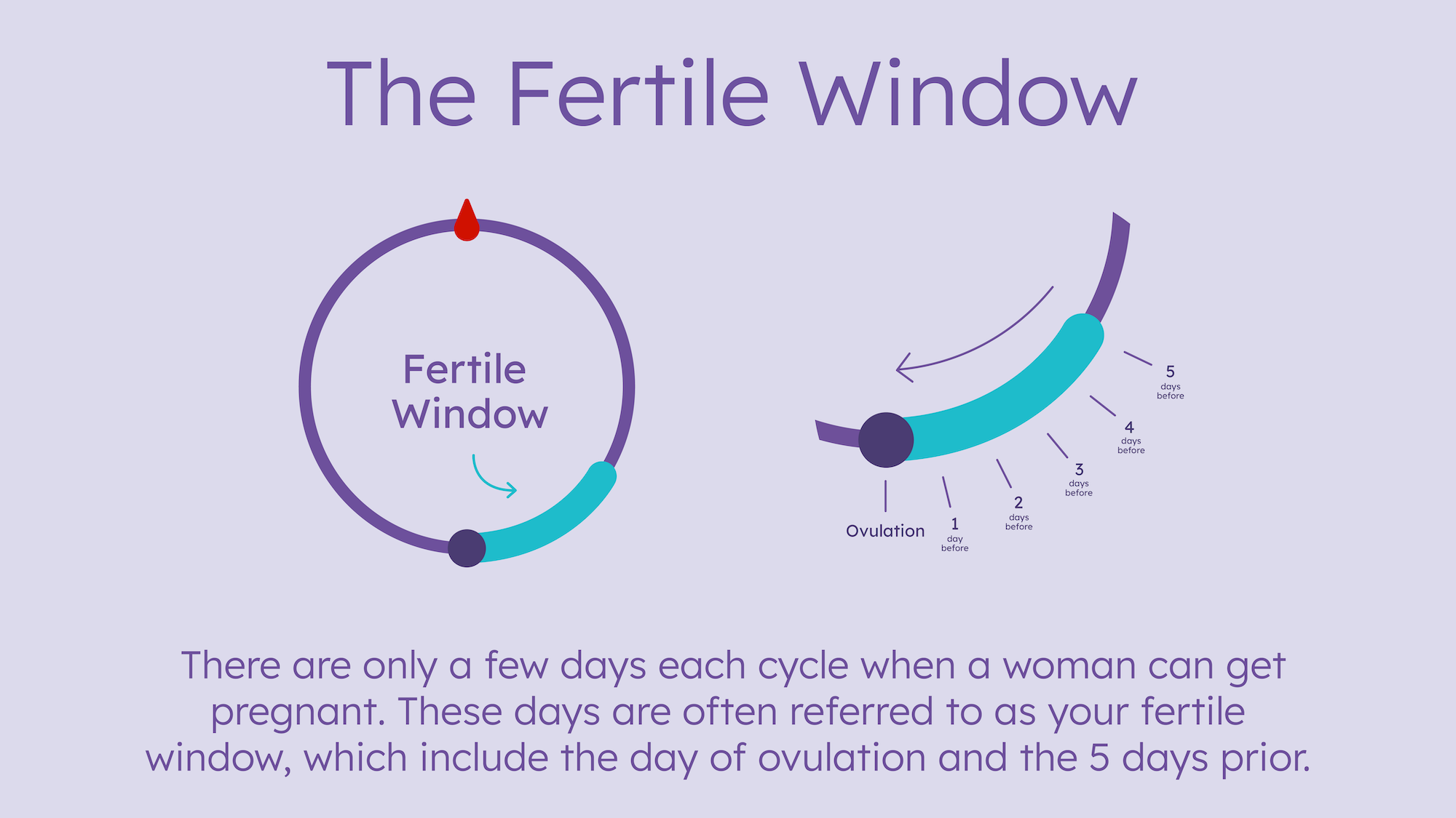 How Long After a Positive Ovulation Test am I Fertile? – Understanding Your  Fertile Window – Proov