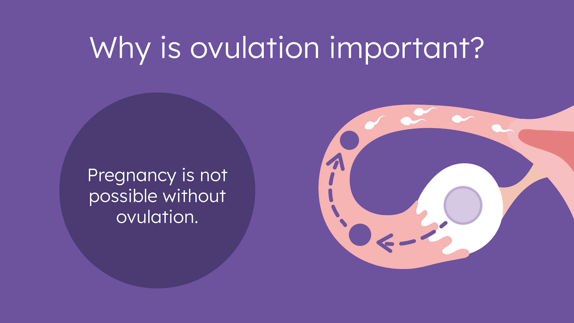 4 possible reasons you're not ovulating