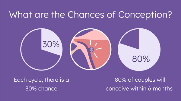 How many days after your period can you get pregnant?