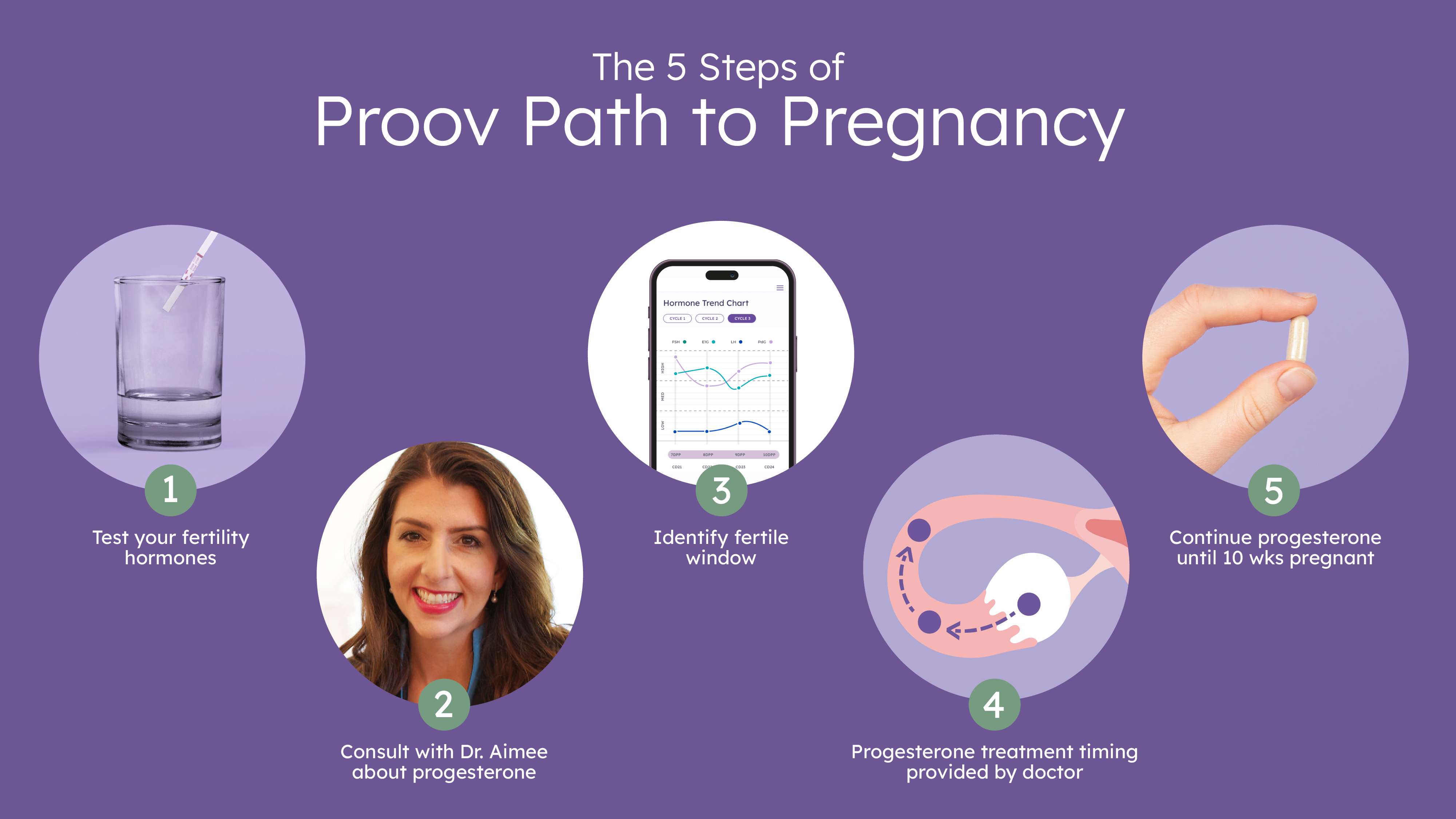 Proov Path to Pregnancy