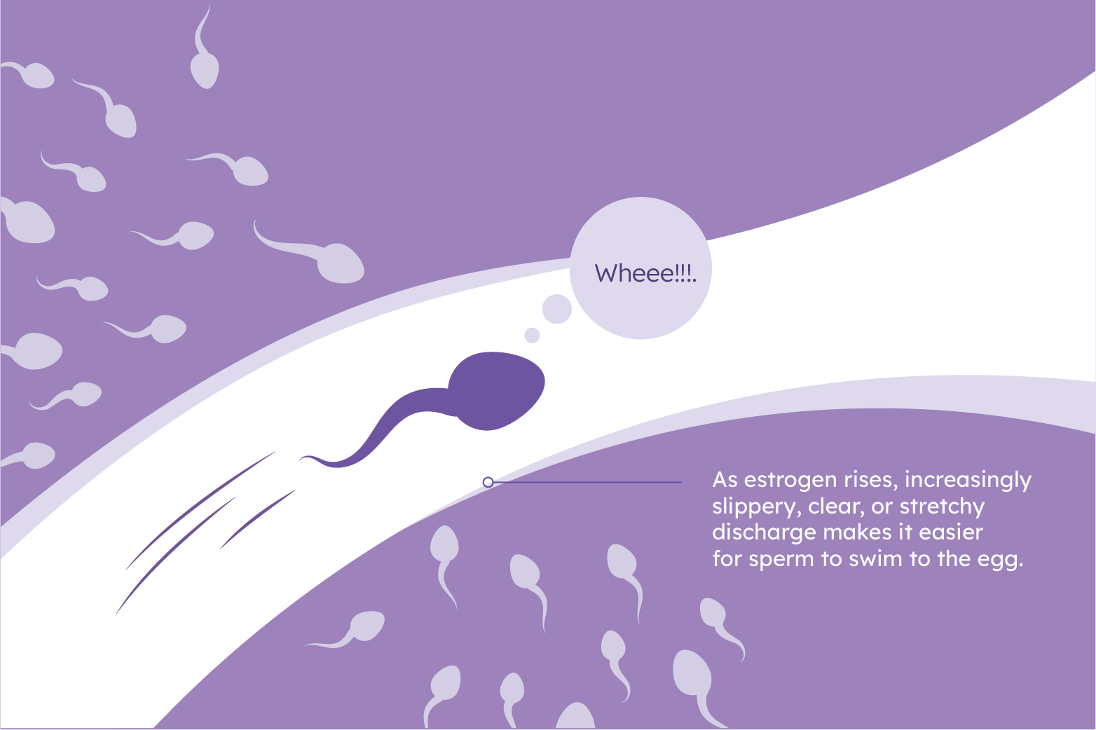 Watery sperm / Watery semen – Why is my sperm watery and clear