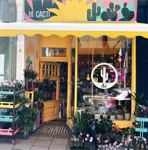 The Hi Cacti shop in Brighton, Seven Dials has a yellow shop front and the window is bursting with plants and cacti as well as pots and other related home accessories