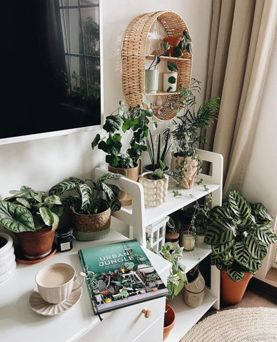 a scandi decor bedroom table is covered in plants and a book on plants sits on the side