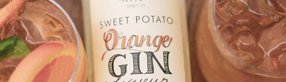 SP Orange Gin & Ginger Ale