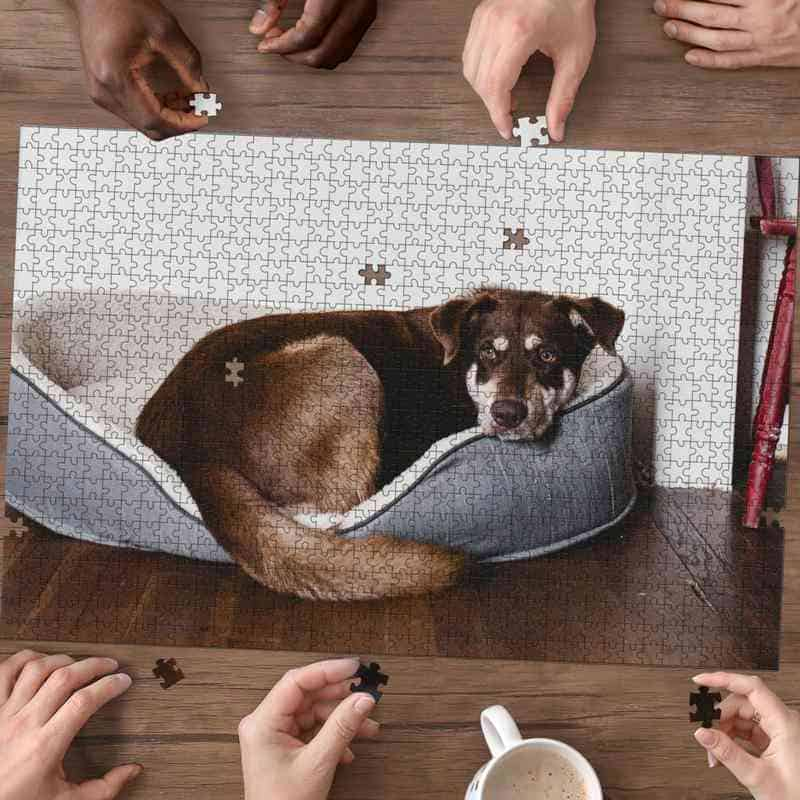 Best Custom Jigsaw Puzzles | Turn Your Photos Into A Puzzle | ASDF Print