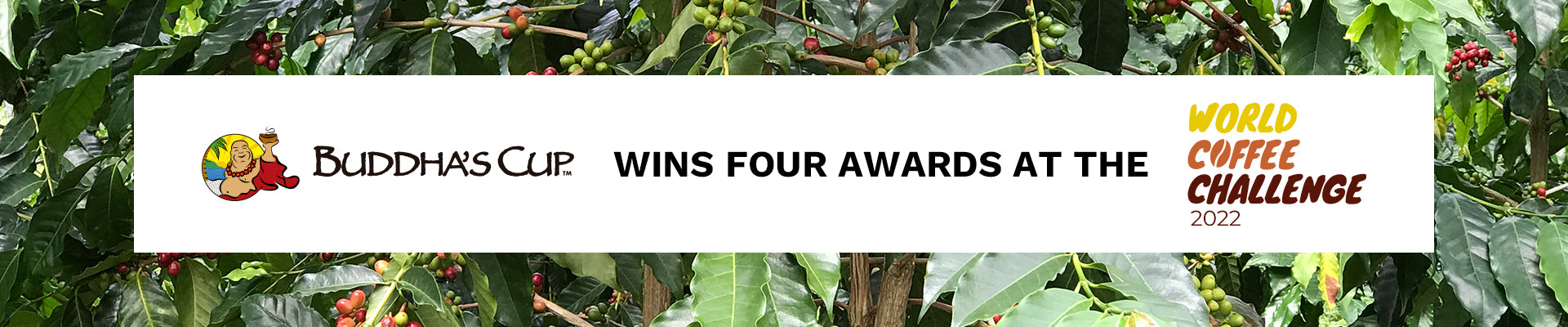 Buddha’s Cup Wins Four Awards at the World Coffee Challenge 2022