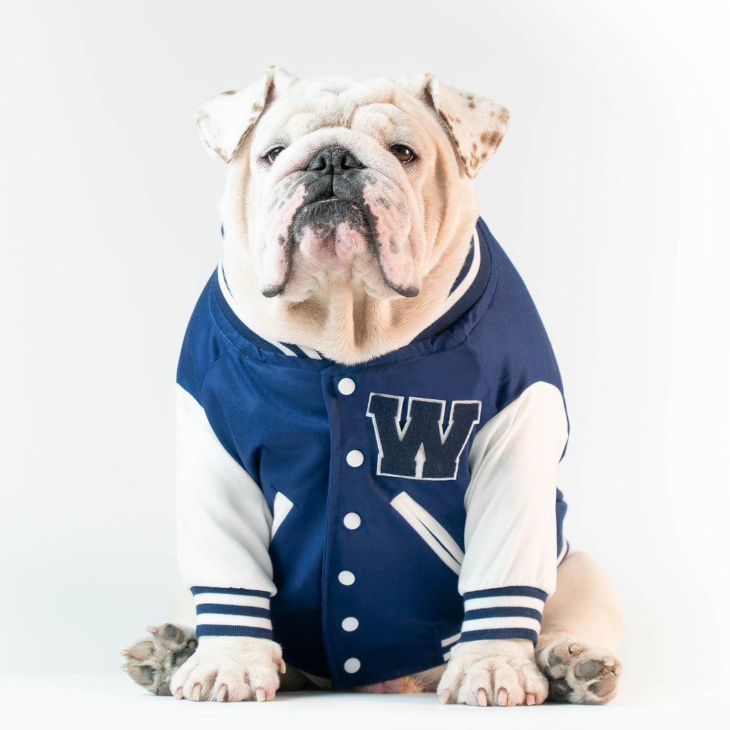 Wonton Collection Online dog clothing 