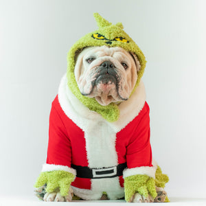 bulldog christmas costumes