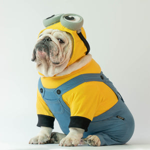 Wonton Collection Online dog clothing and accessories store